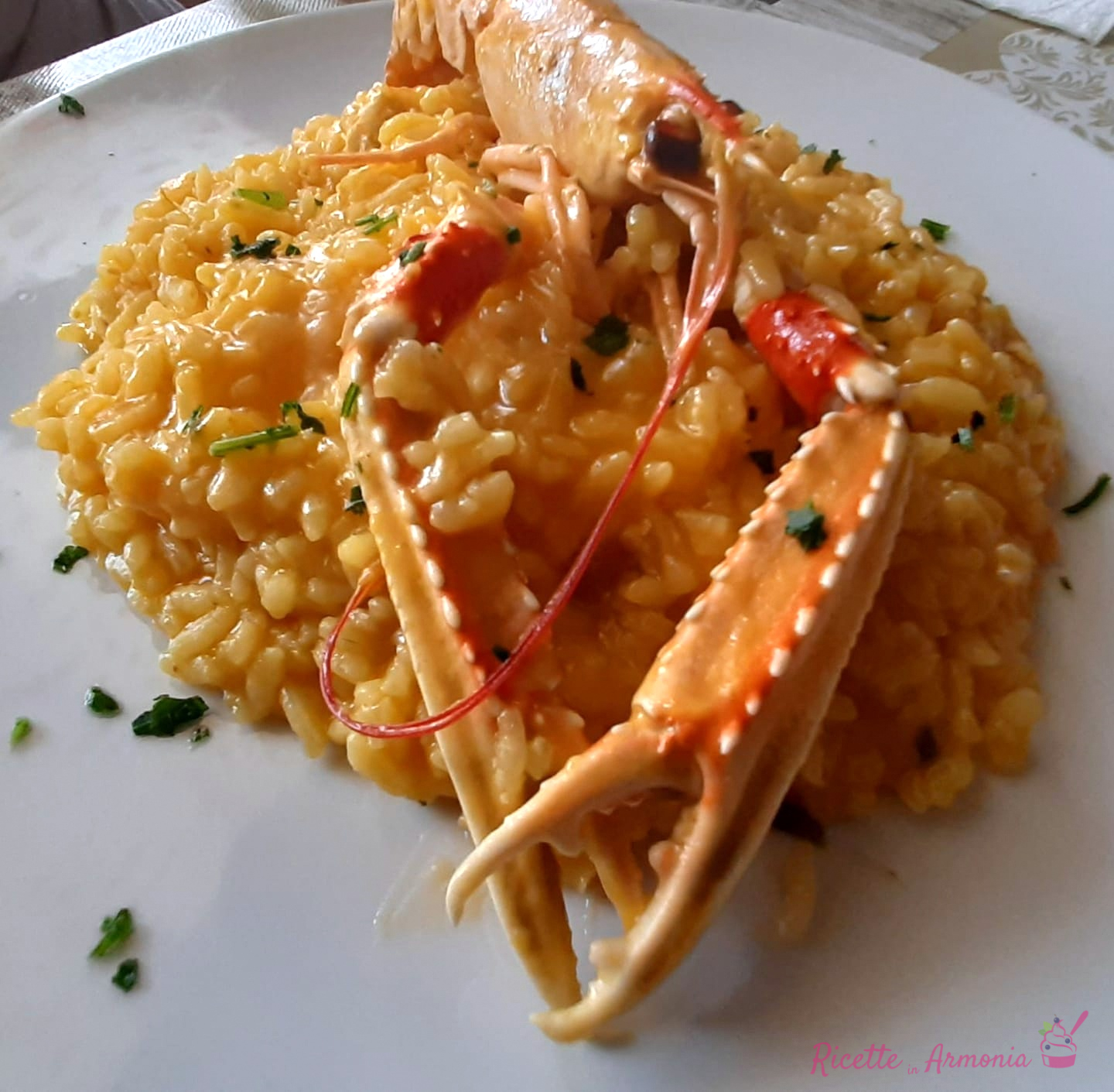 Risotto con scampi