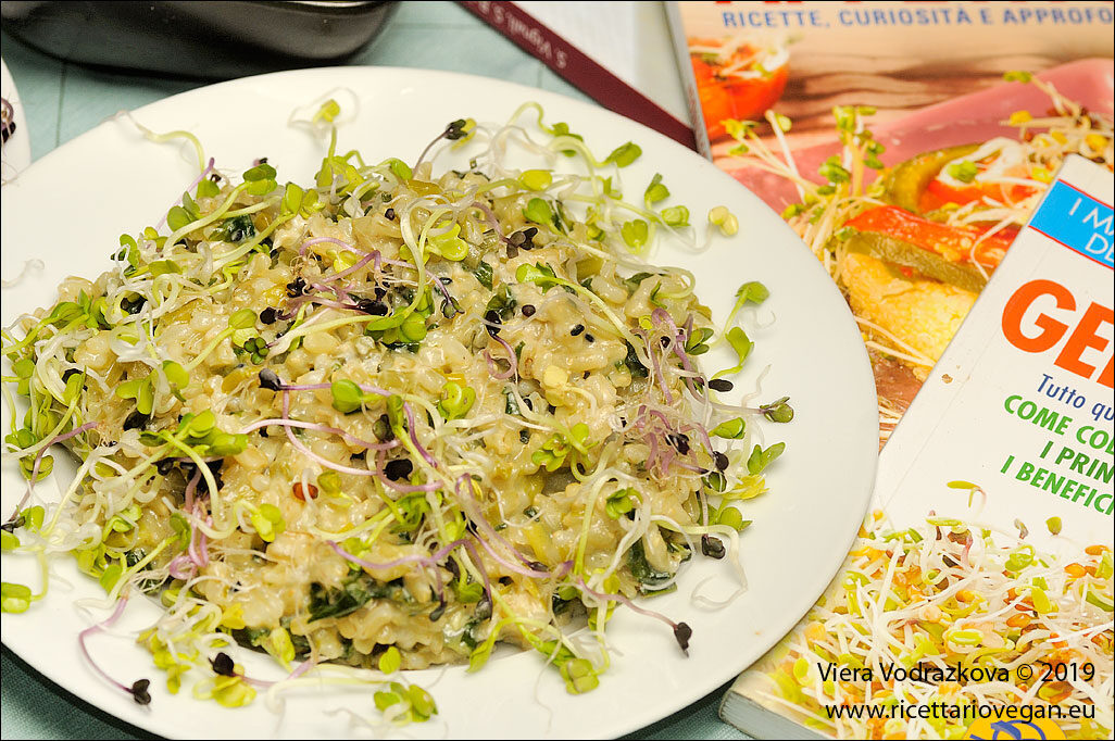 Risotto cremoso con cicoria e germogli
