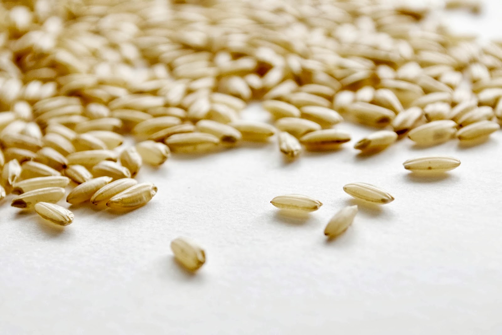 Risotto di primavera