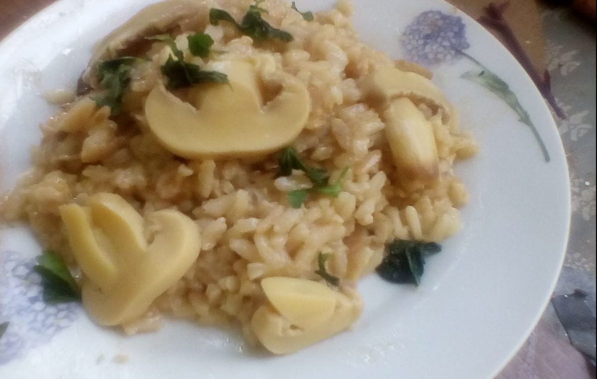 Risotto funghi e provola
