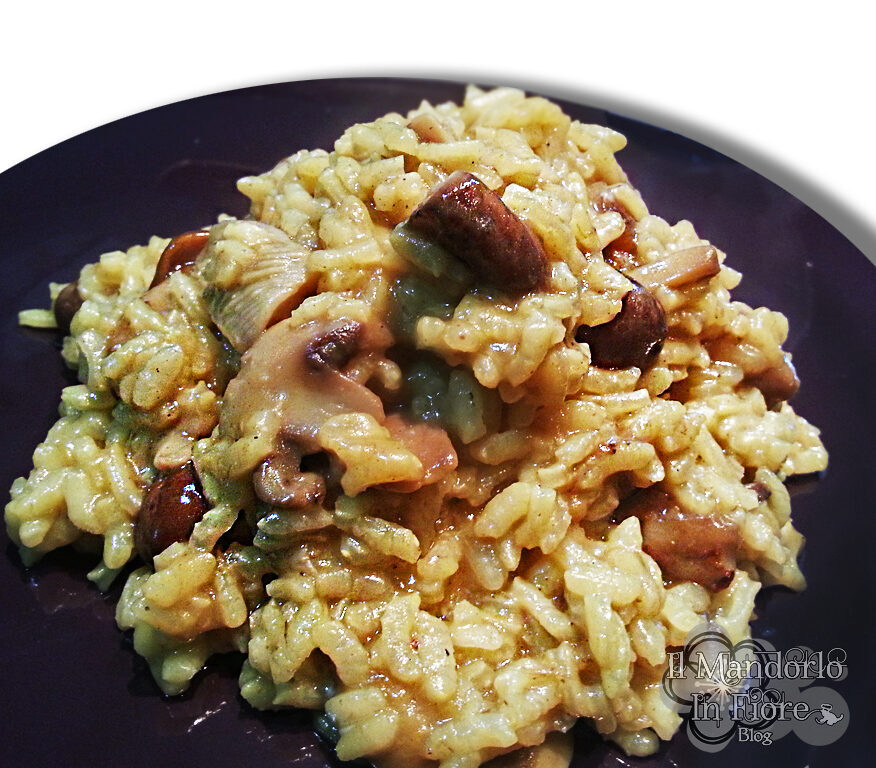 Risotto porcini champignon e curry