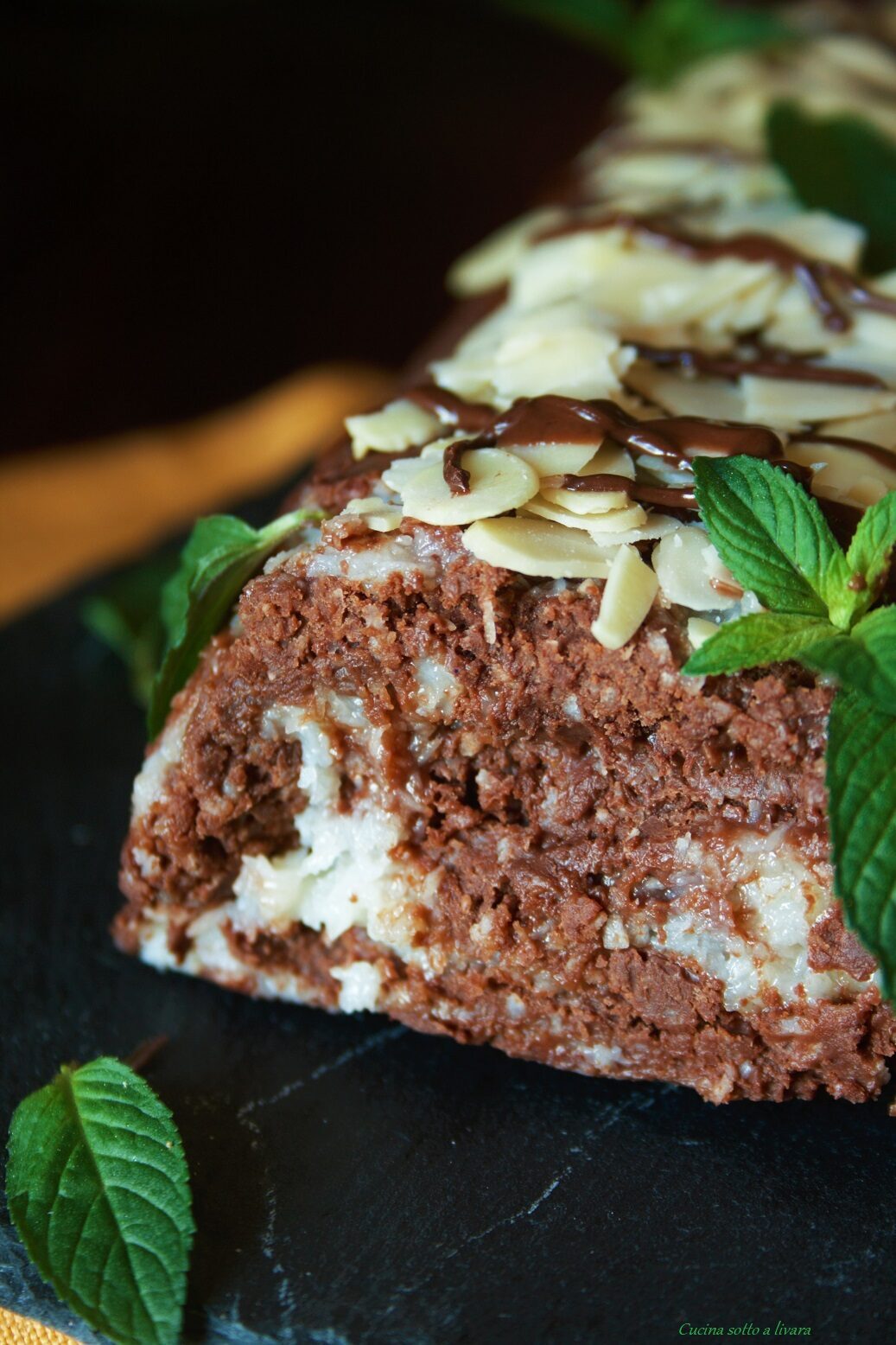 Rotolo cioccolato e cocco