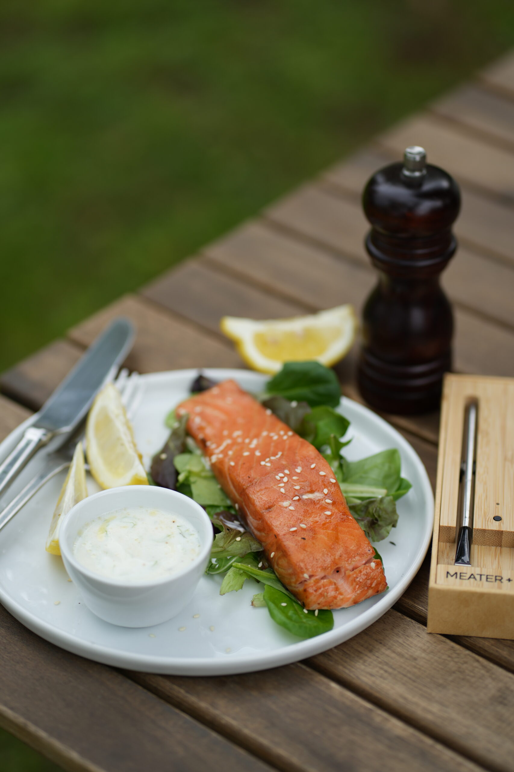 Salmone al bbq su placca di cedro