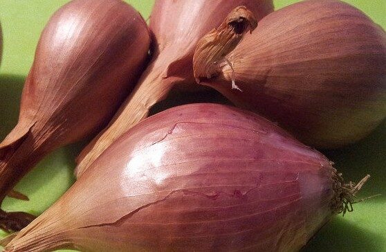 Salsa allo scalogno