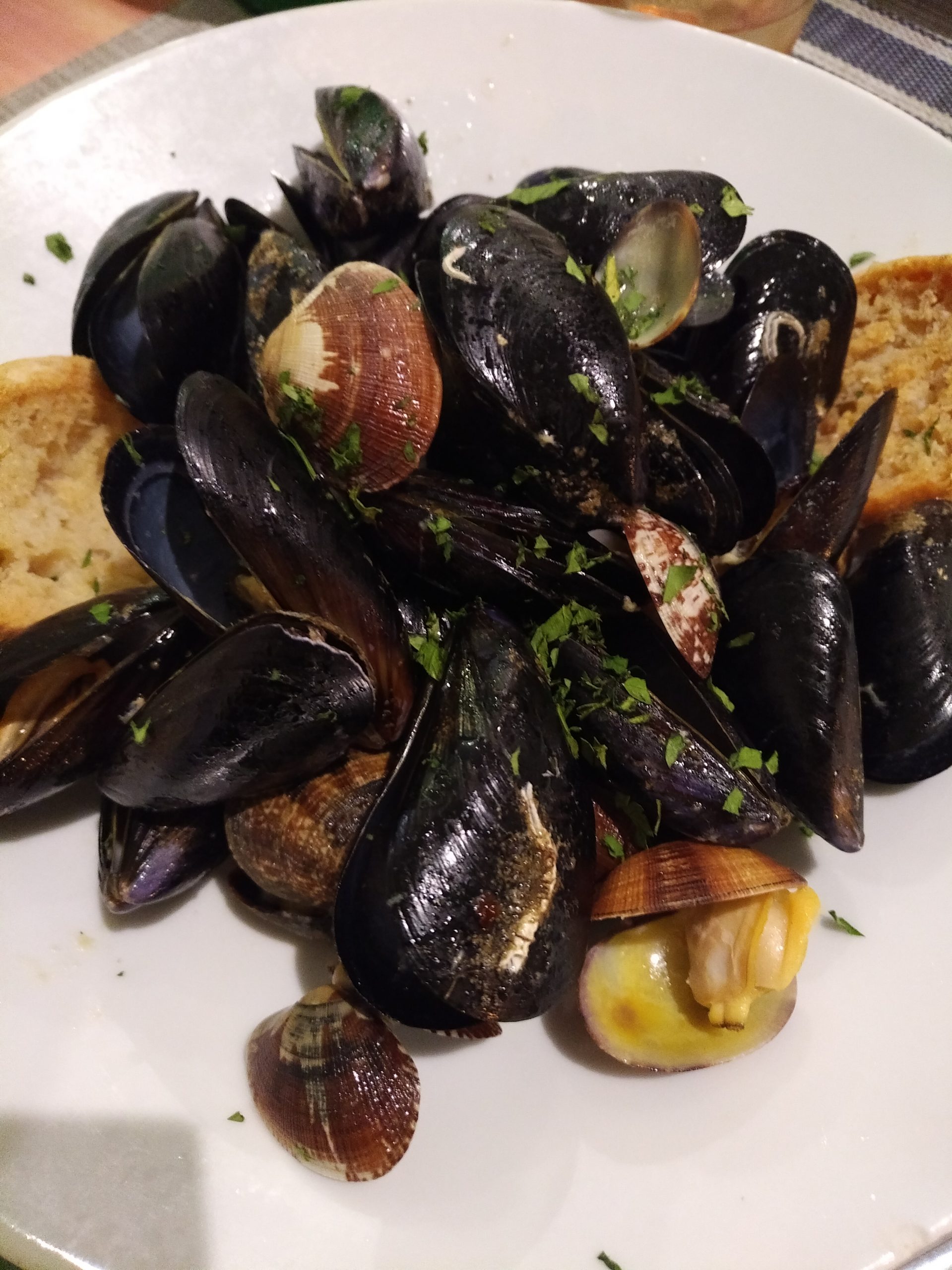 Sauté di cozze e vongole