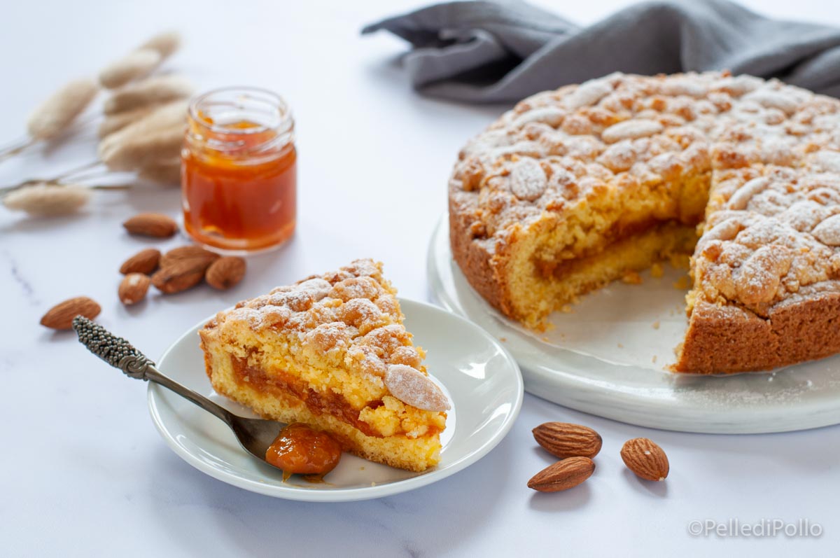 Sbriciolata alla confettura con mandorle e cocco