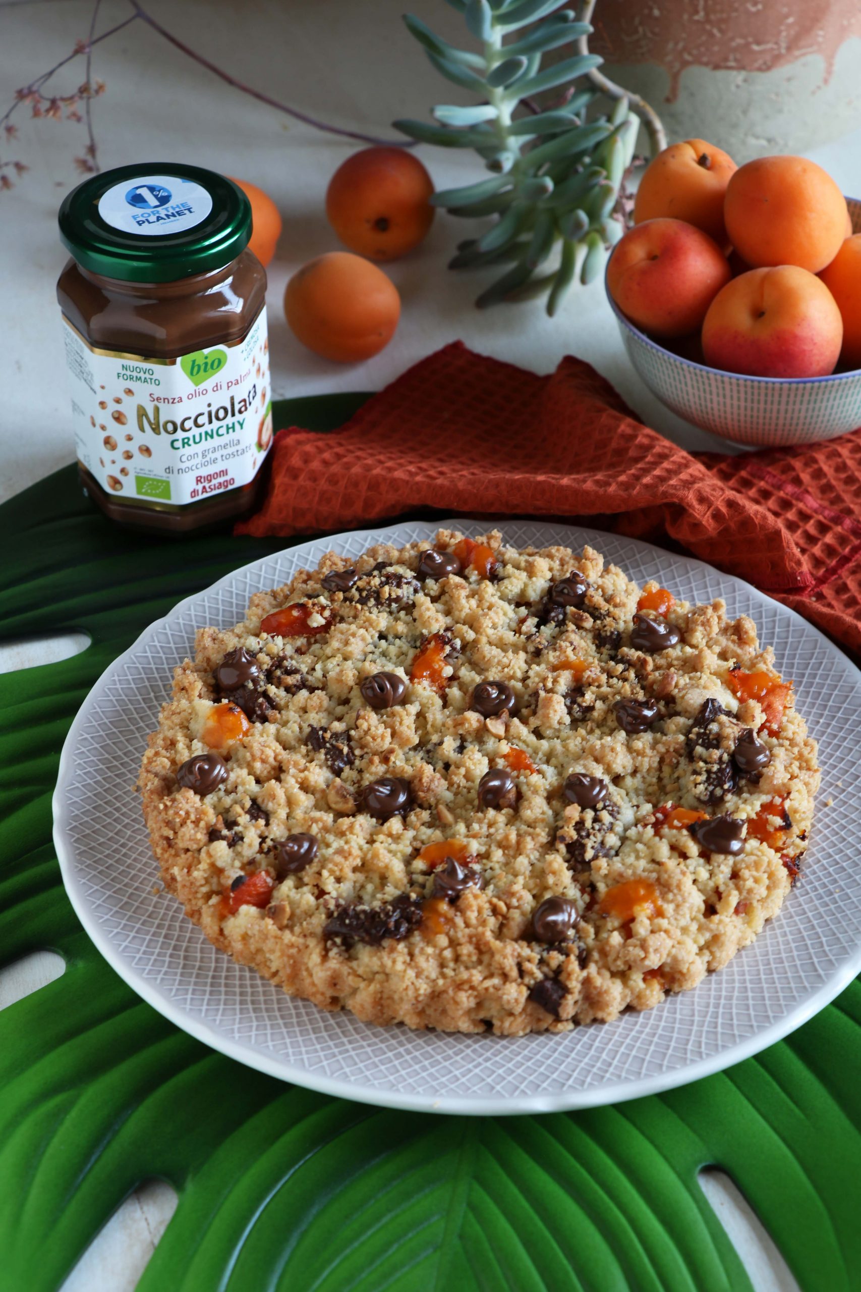 Sbrisolona nocciole e albicocche