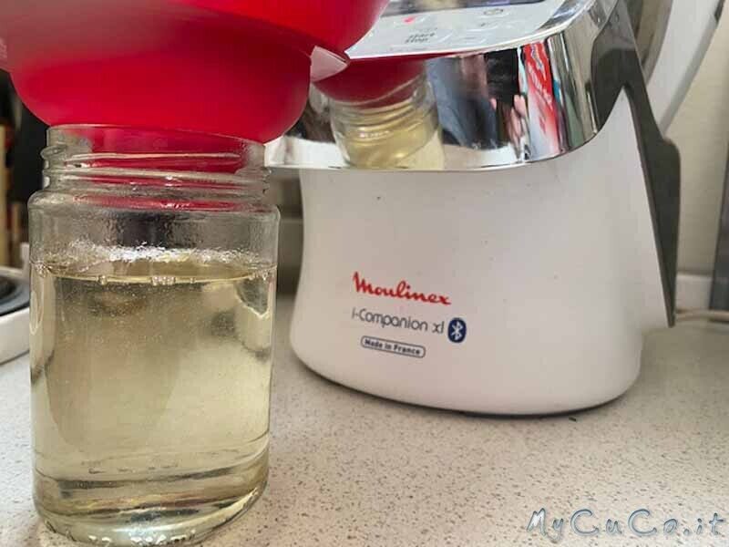 Sciroppo di glucosio (o destrosio liquido) con companion moulinex