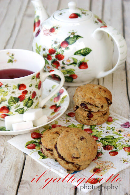 Scones al grano sareceno e cranberries e…il nuovo gattoghiotto