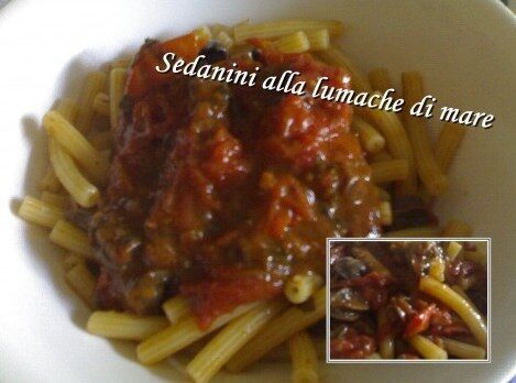 Sedanini alle lumache di mare