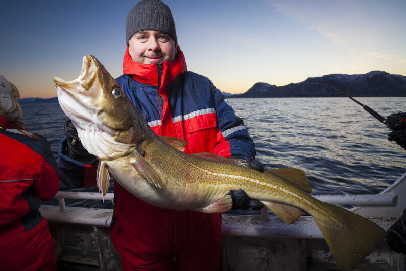 Skrei® – il merluzzo selvaggio della norvegia