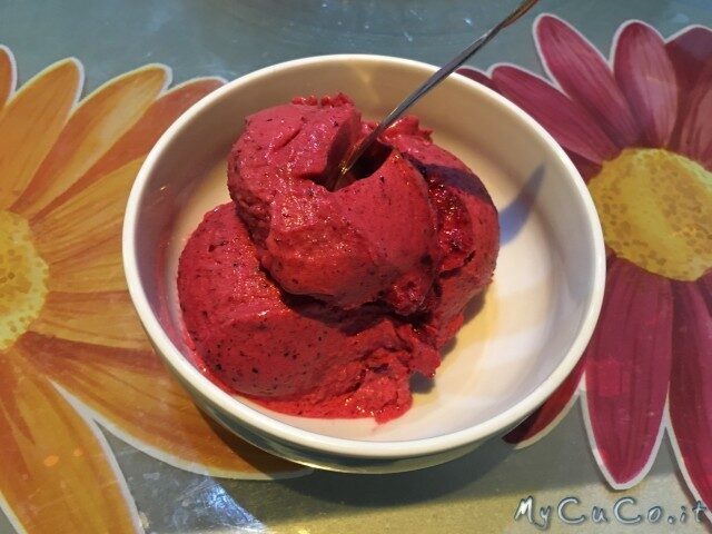 Sorbetto veloce e light ai frutti di bosco con cuisine e i-companion moulinex