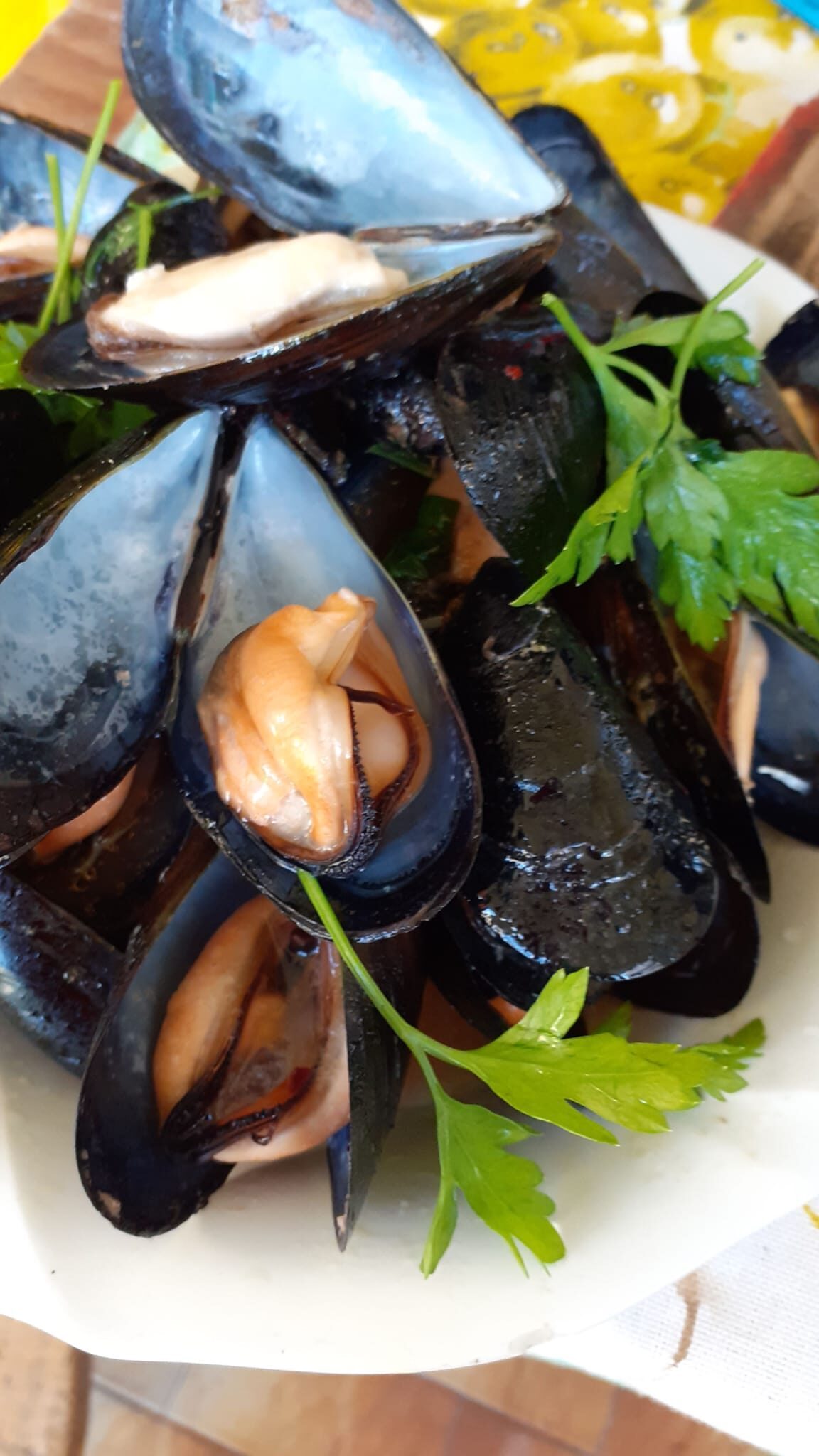 Soutè di cozze