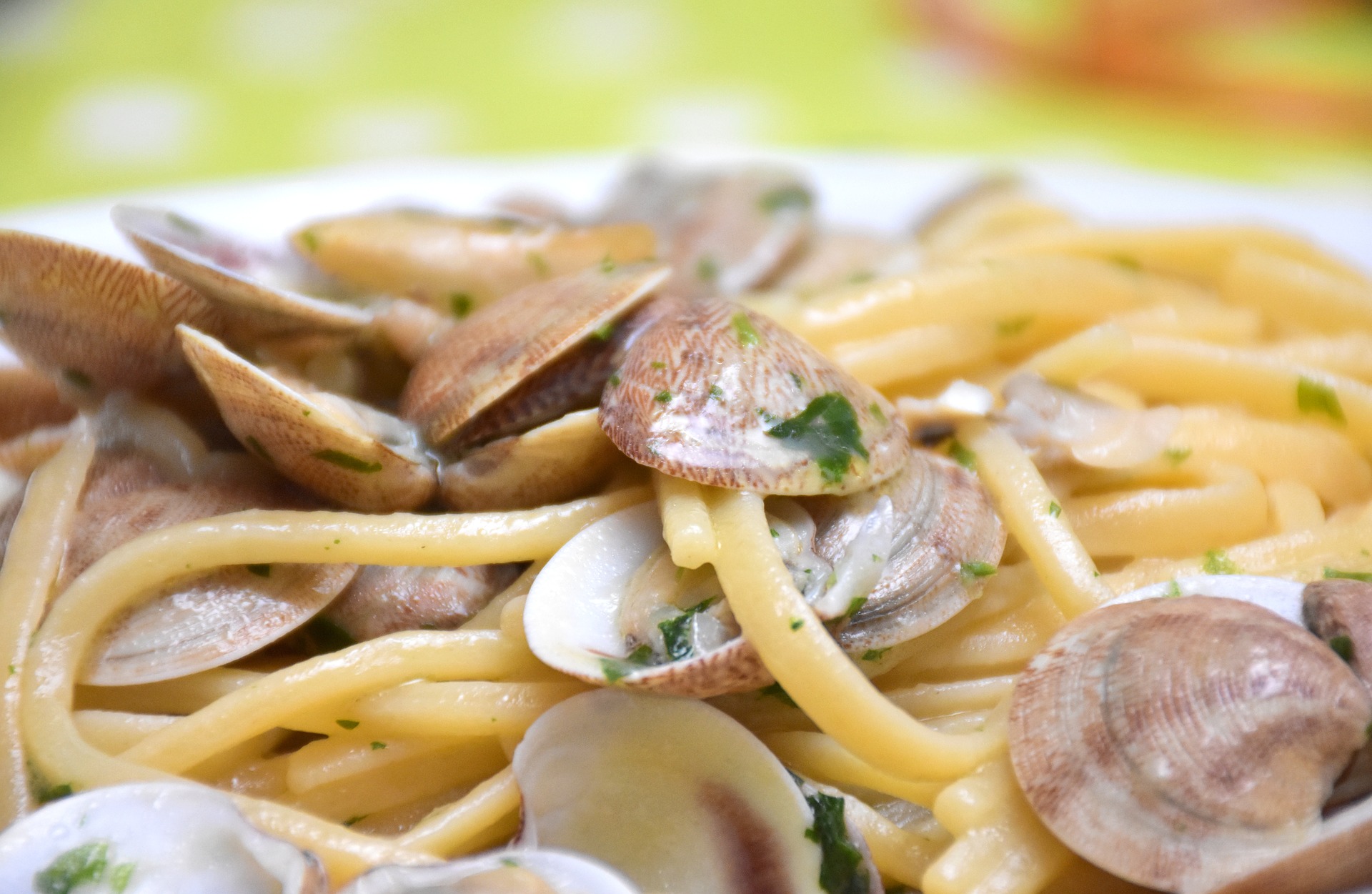 Spaghetti alle vongole | ricetta semplice e veloce ideale tutto l’anno