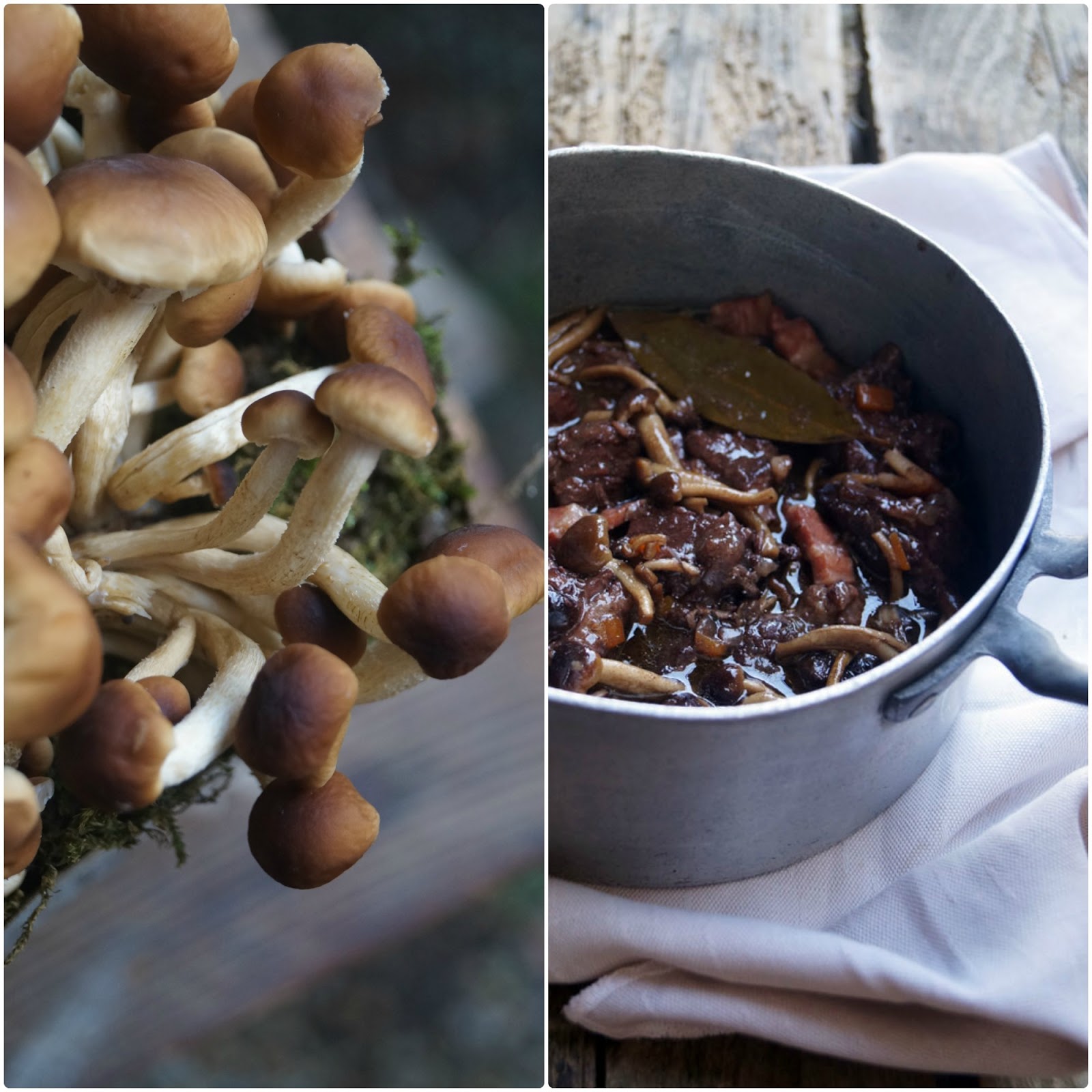 Spezzatino di manzo con pioppini e lambrusco