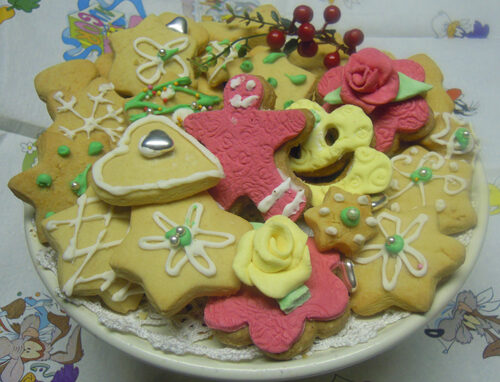 Stelle di natale