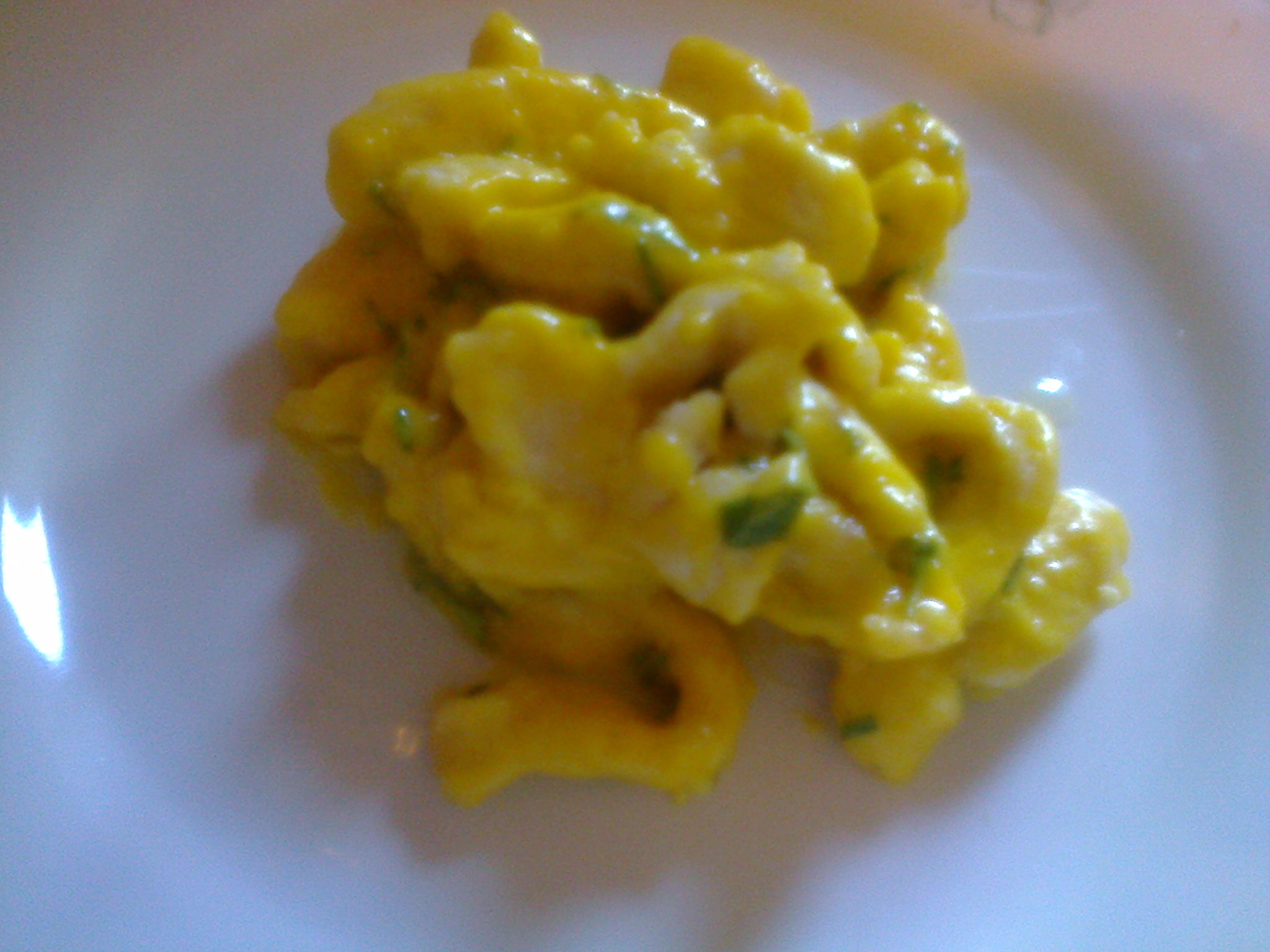 Straccetti di pollo aromatizzati, in fricassea