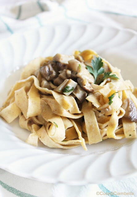 Tagliatelle al farro con funghi porcini