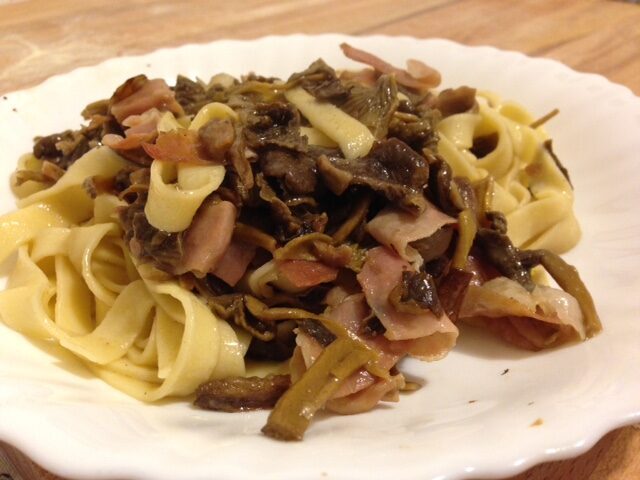 Tagliatelle di farro con funghi di bosco
