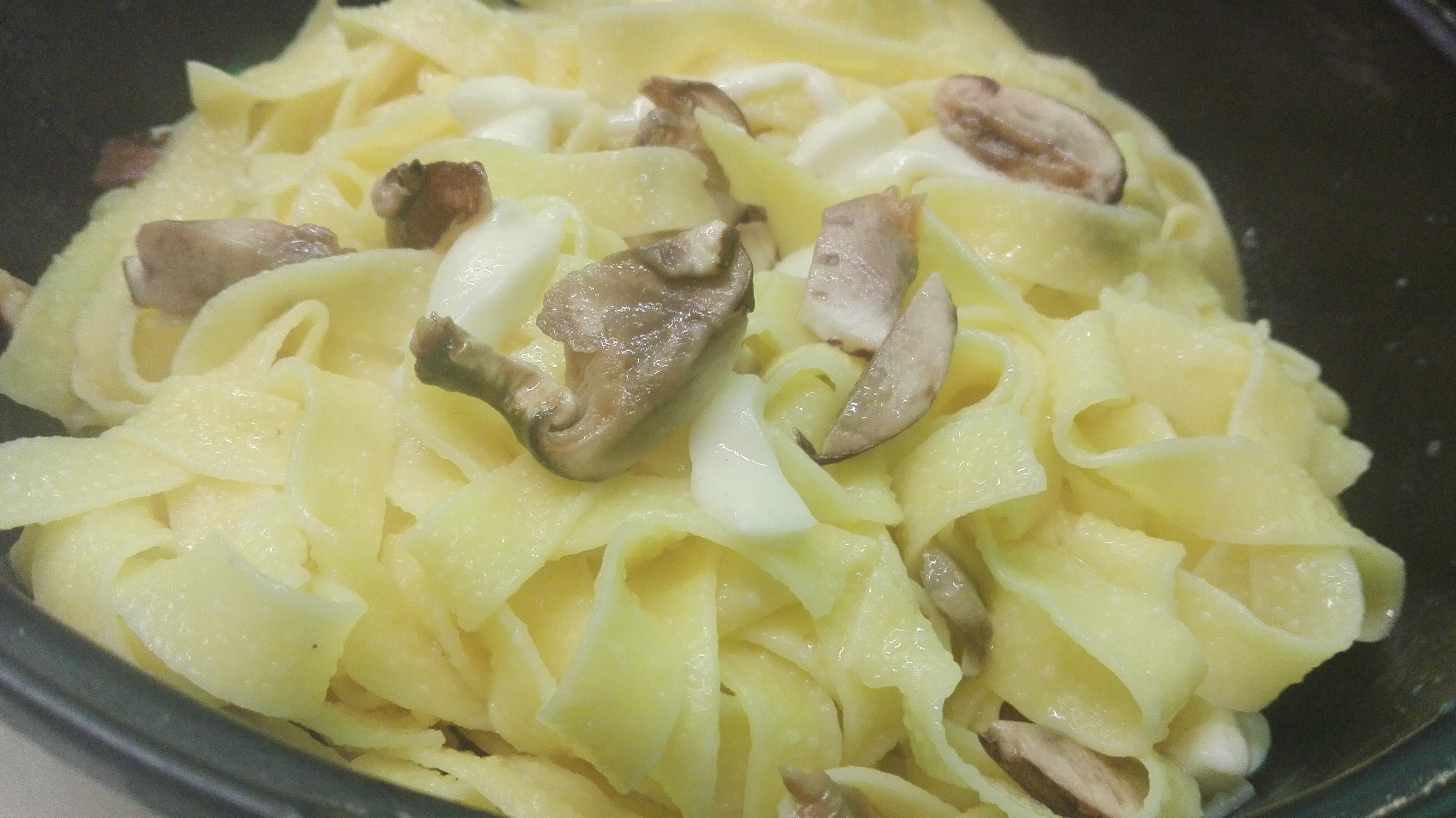 Tagliatelle in bianco funghi, mozzarella e grana