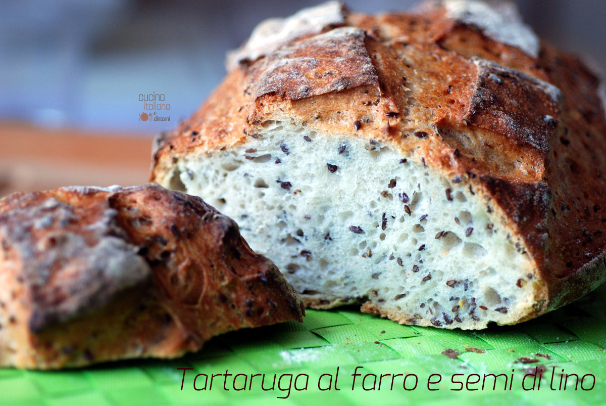 Tartaruga al farro con semi di lino, ricetta con pasta madre