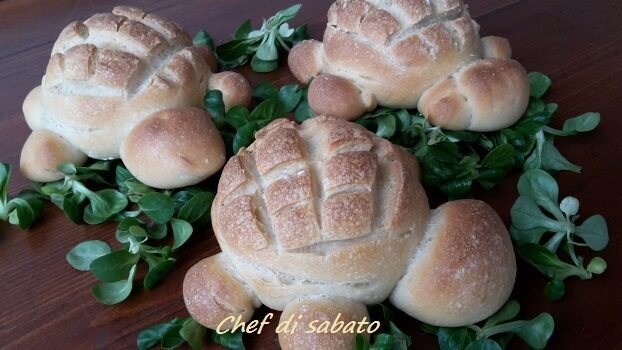 Tartarughe di pane con lievito naturale
