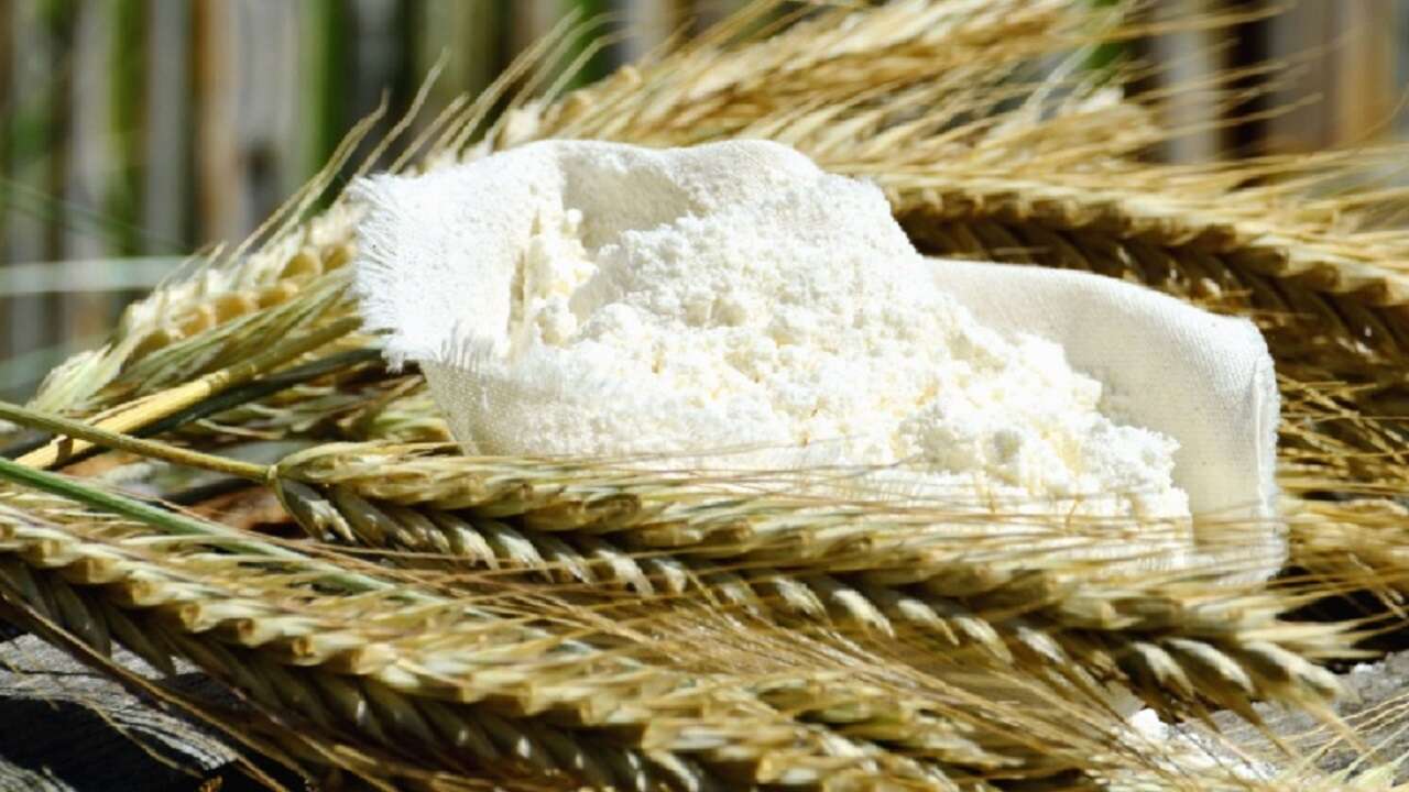Tipi di farine e differenze: 00, 0, 1, 2 e integrale, guida