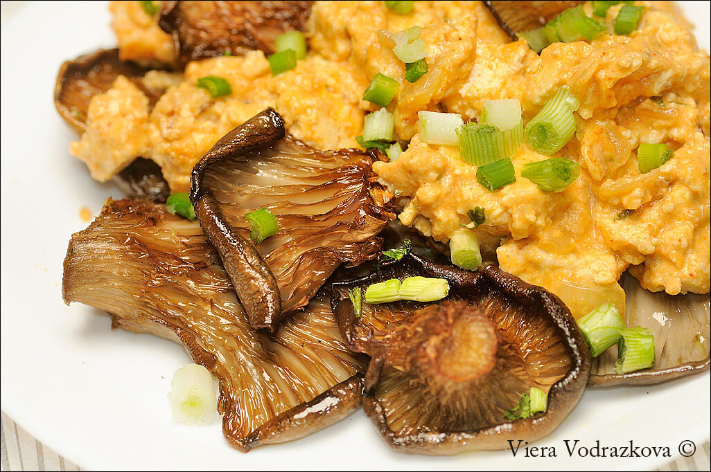Tofu cremosissimo con pleurotus al forno