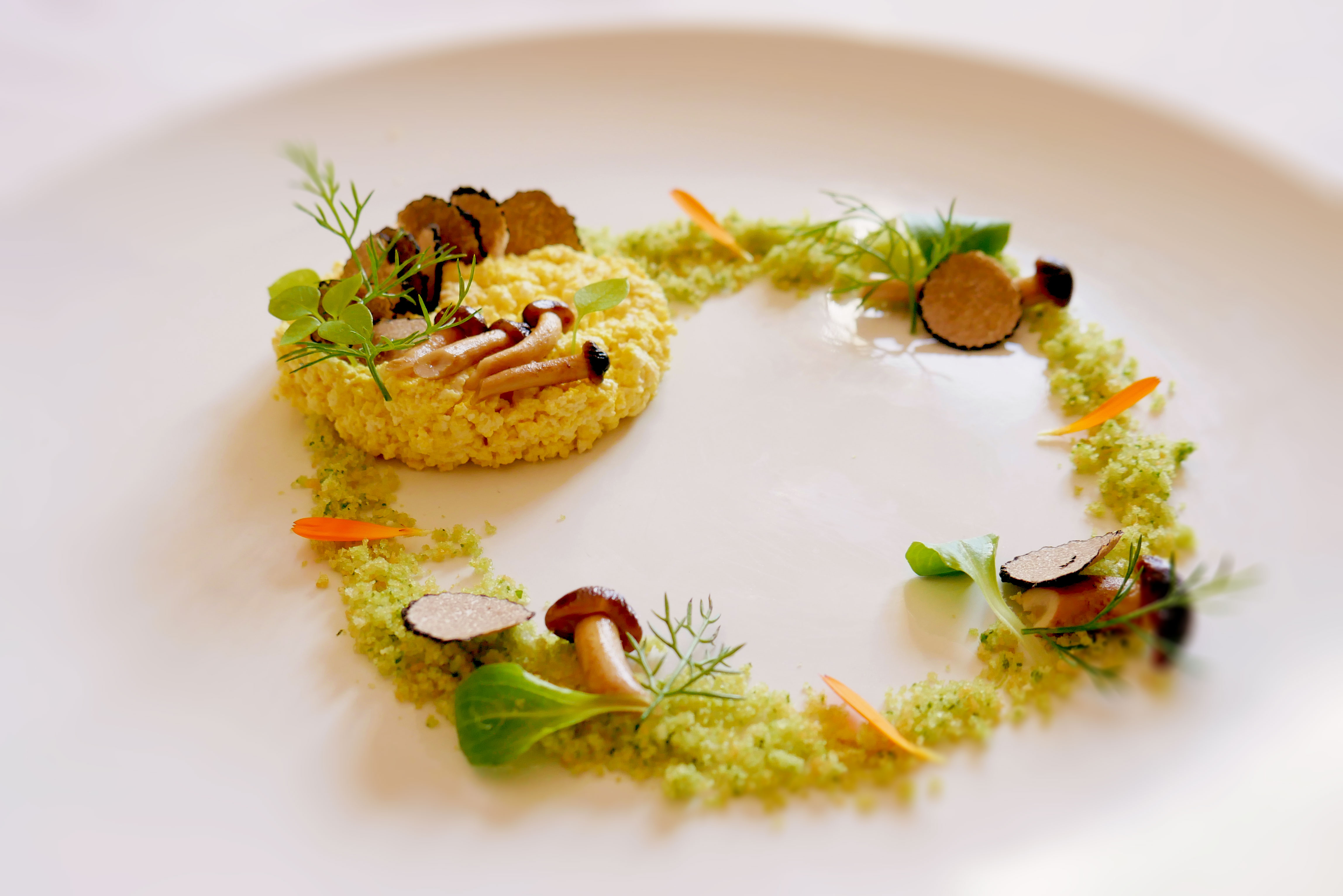 Tofu ‘strapazzato’ con funghi e scaglie di tartufo