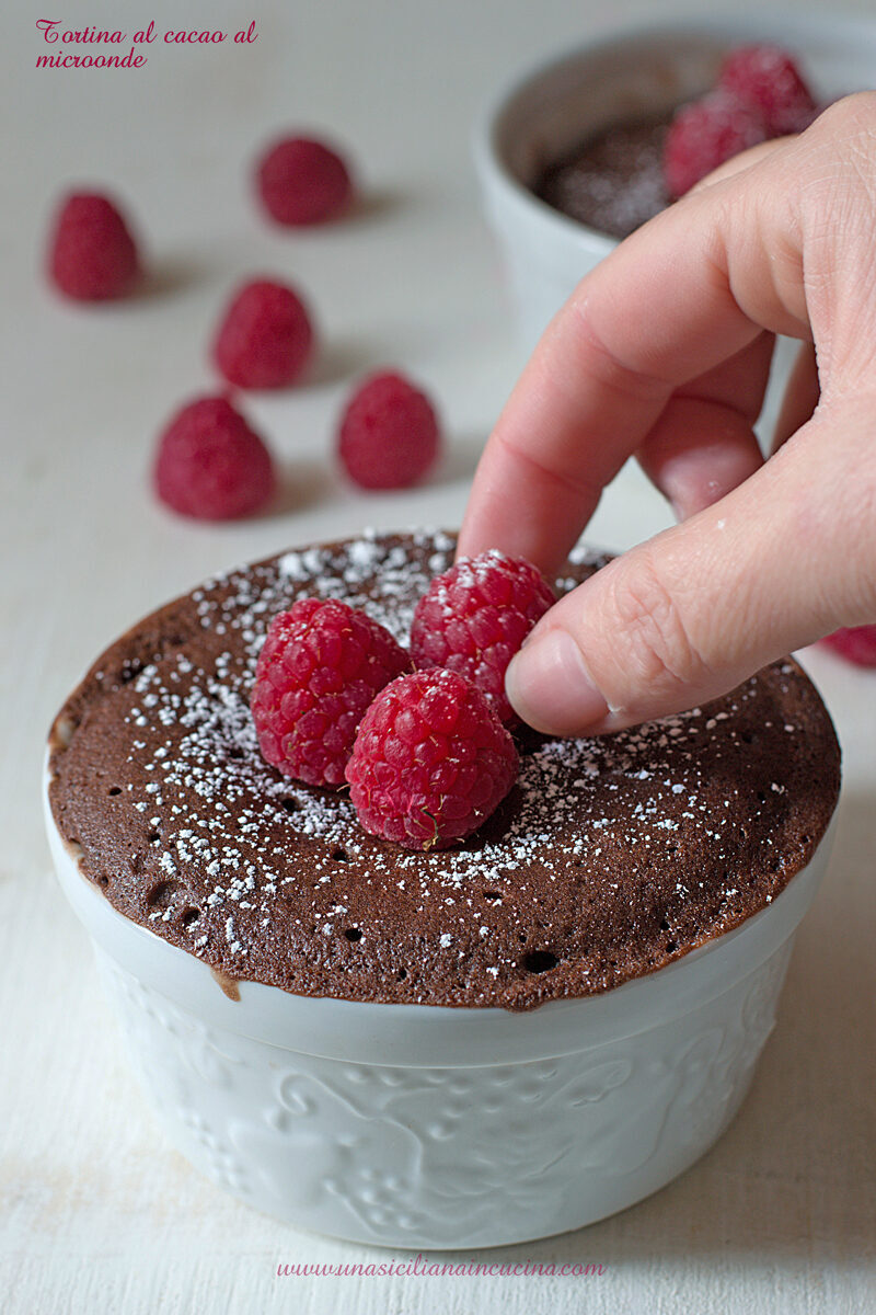 Torta al cacao al microonde
