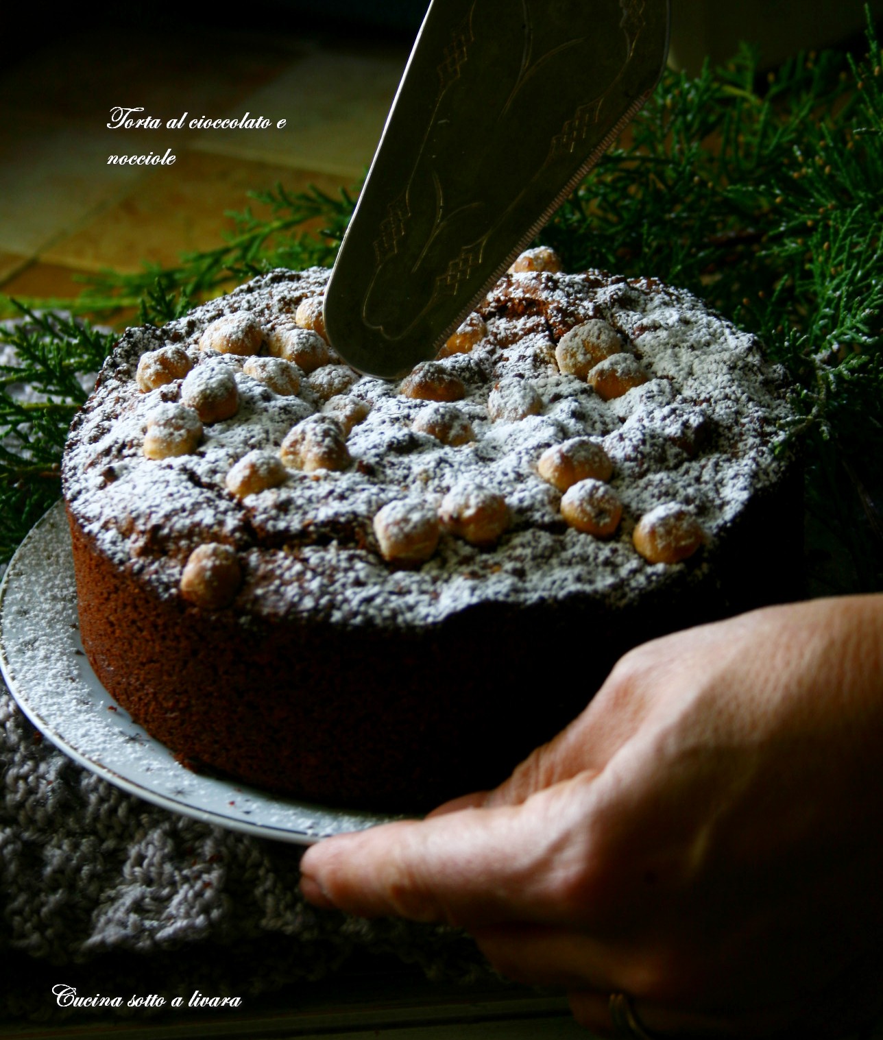 Torta al cioccolato e nocciole