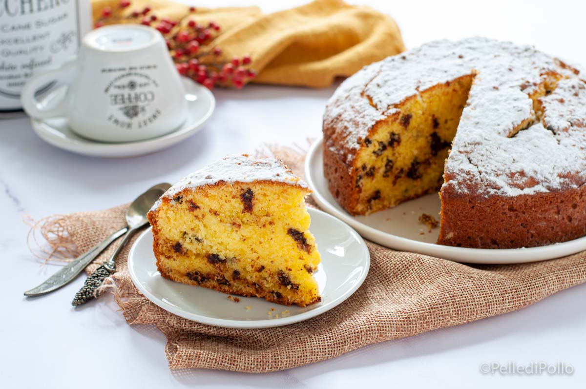 Torta al cocco e cioccolato