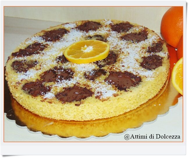 Torta all’arancia con cocco e nutella