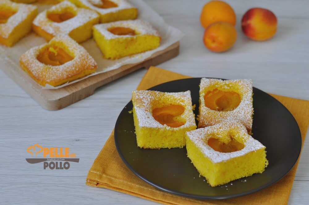 Torta alle albicocche fresche