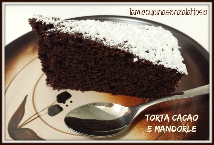Torta cacao e mandorle senza uova senza lattosio