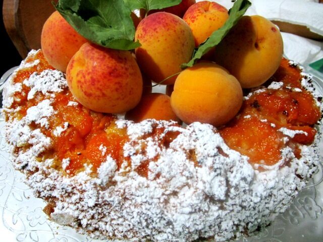 Torta ciambella di albicocche