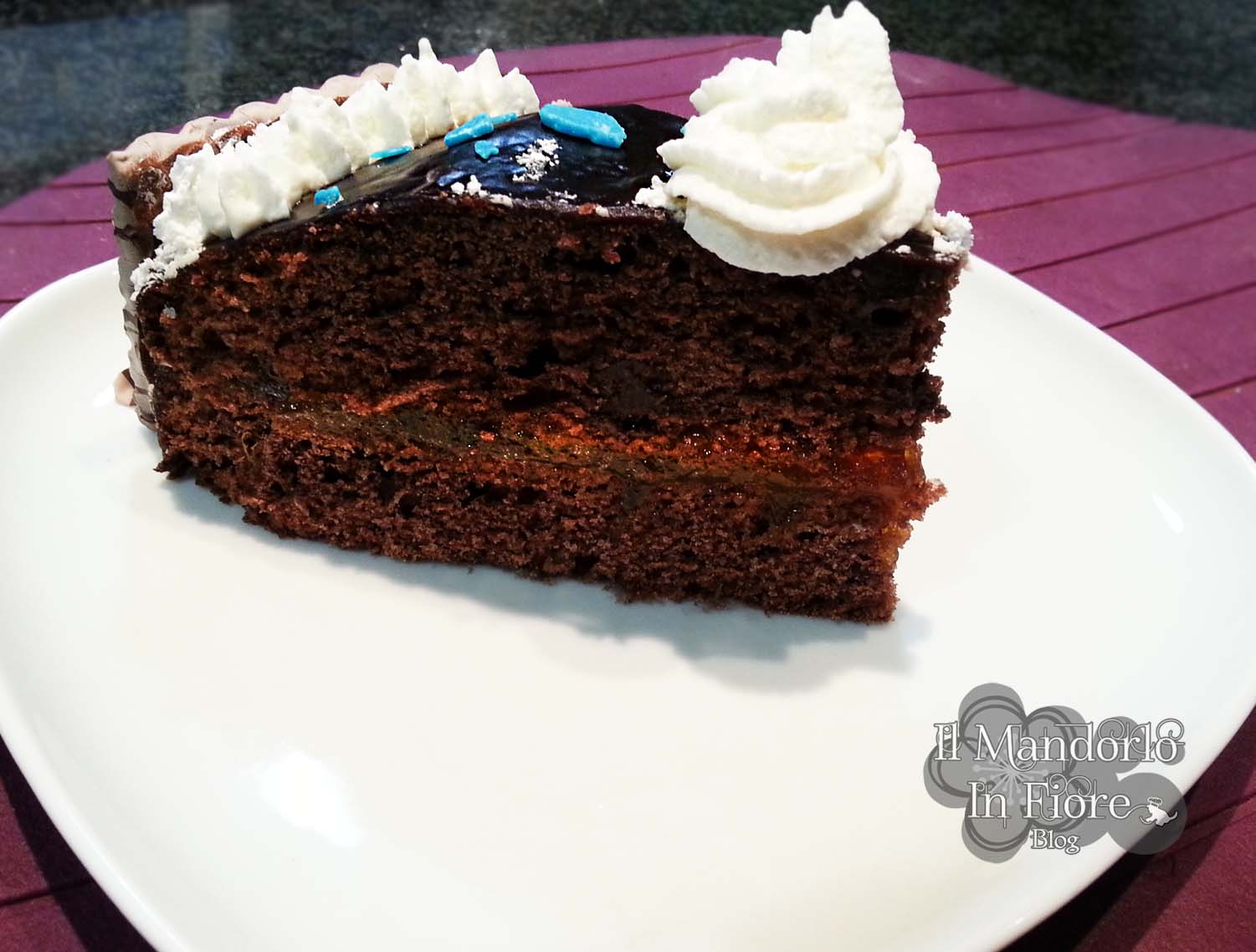 Torta cioccolato e marmellata di albicocche