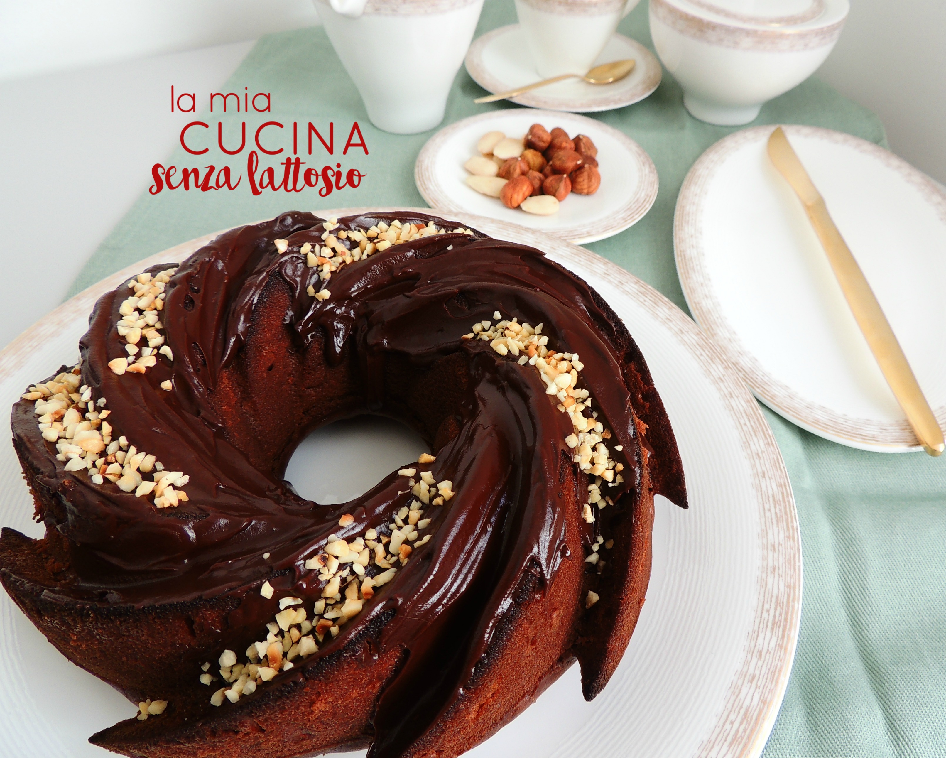 Torta cioccolato e nocciole senza lattosio senza uova