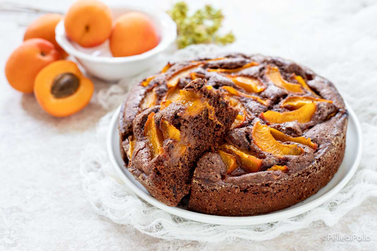 Torta con albicocche e cacao