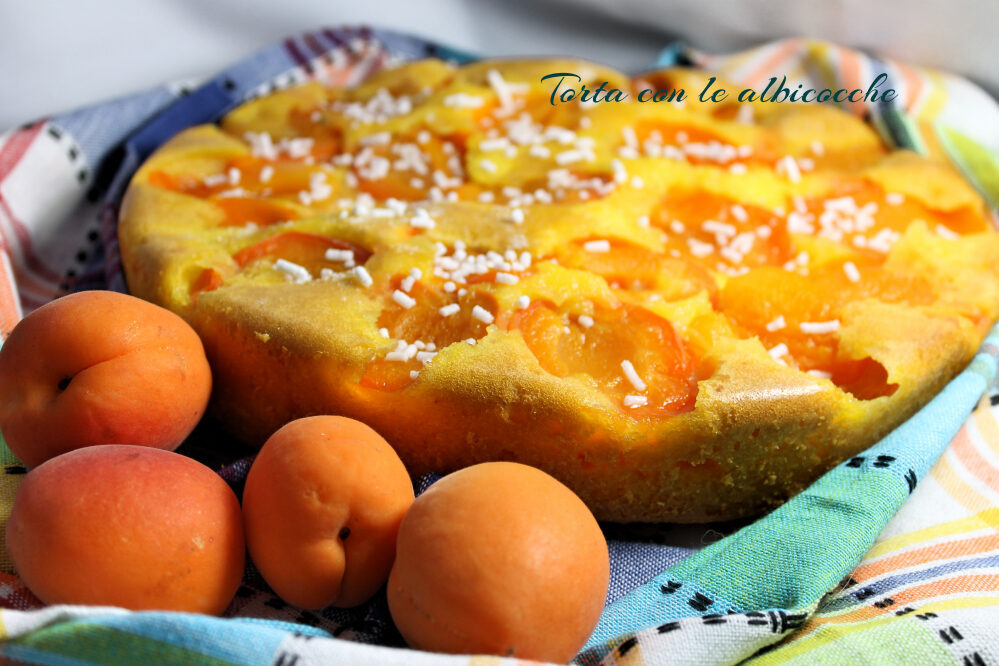 Torta con le albicocche velocissima