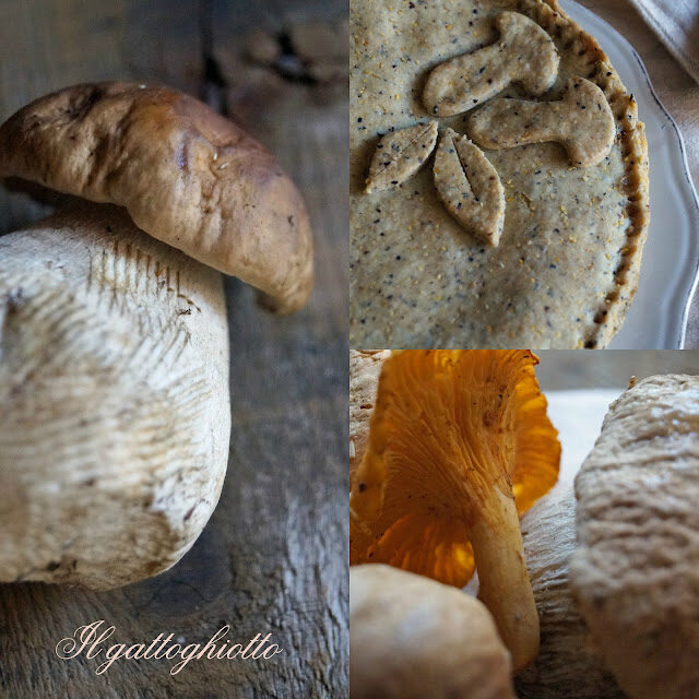 Torta cremosa ai funghi