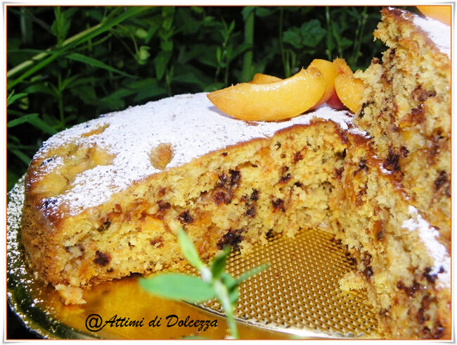 TORTA DI ALBICOCCHE E CAROTE