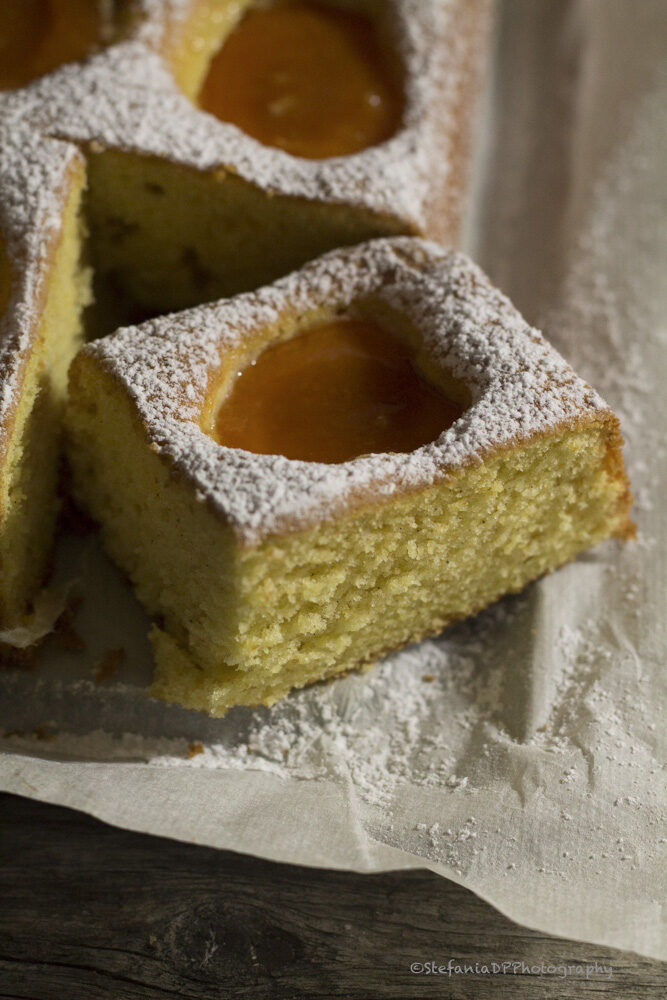 Torta di albicocche
