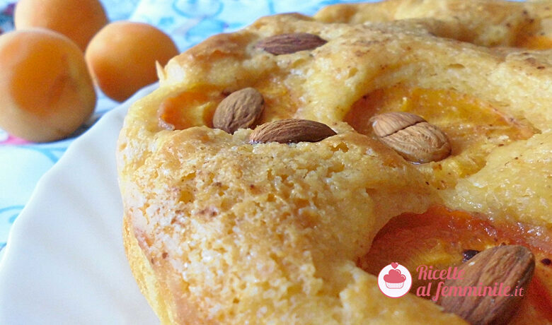 Torta di albicocche senza lattosio con bimby
