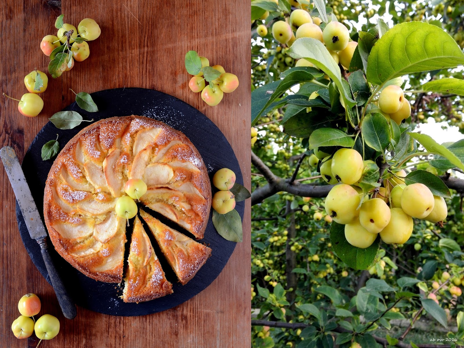Torta di mele allo yogurt