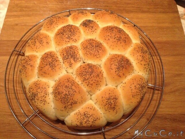 Torta di panini morbidi superveloce col cuisine companion