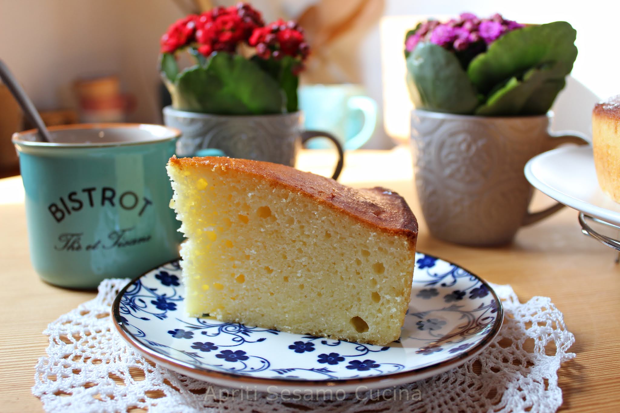 Torta di ricotta
