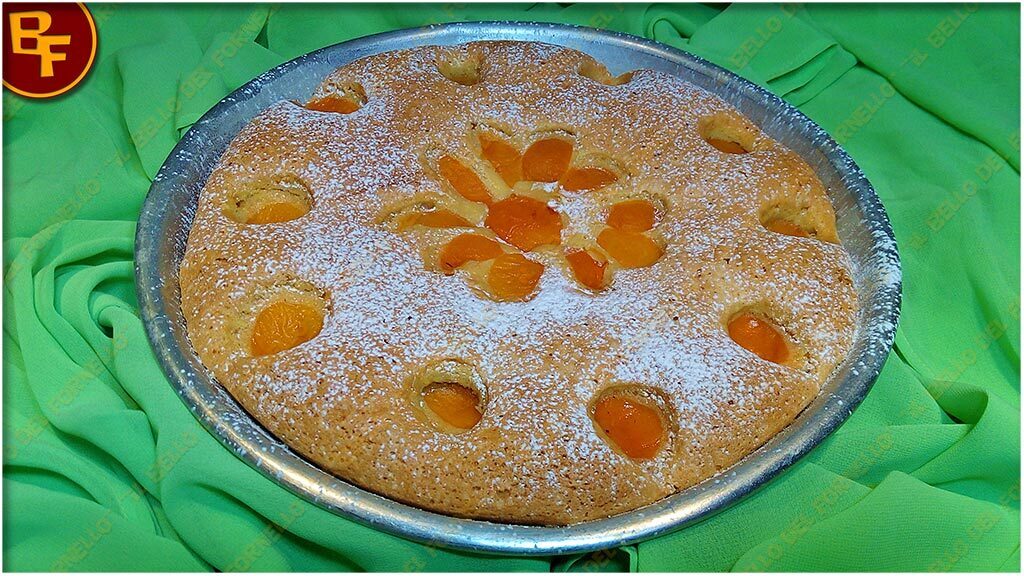 Torta focaccia con albicocche