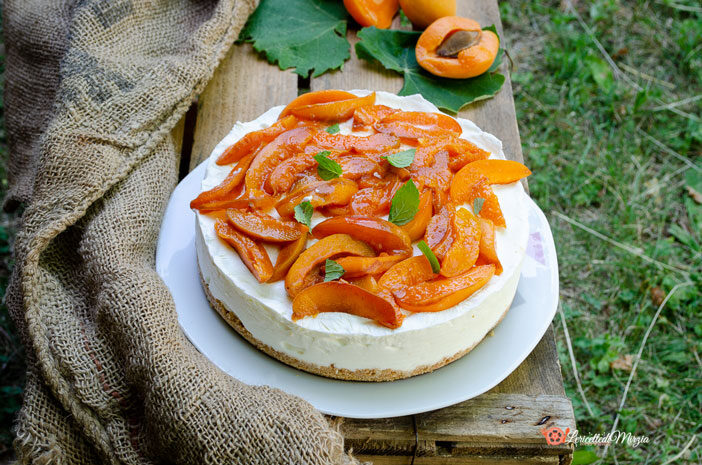 Torta fredda allo yogurt e albicocche