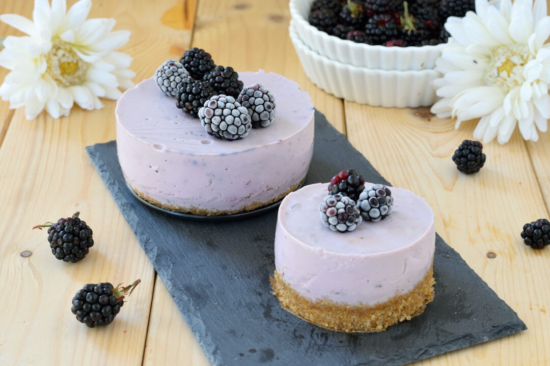 Torta fredda allo yogurt e more